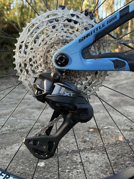Pivot Shuttle Am 2024