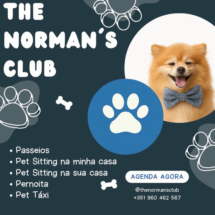 Pet Sitting e Passeios para Cães