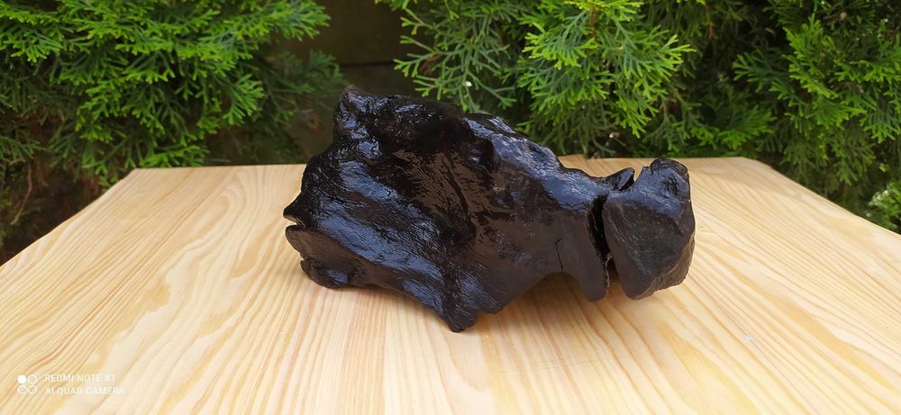 Korzeń do akwarium.