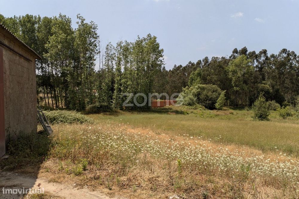 Terreno em zona tranquila na Maceira, a poucos minutos de Leiria