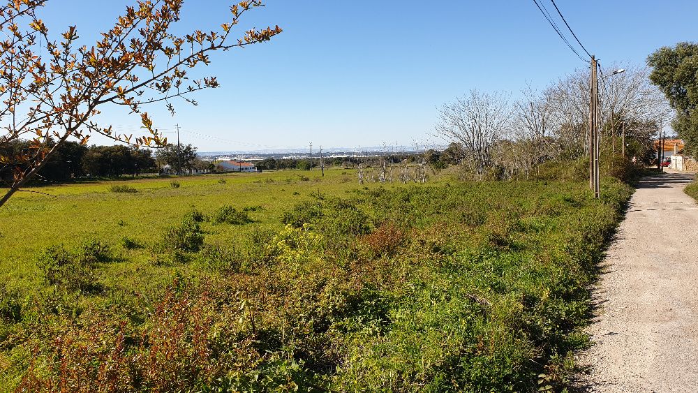 Terreno 1,8 ha parcialmente urbanizável - Quinta do Anjo - Cabanas