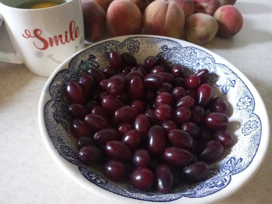 Продам саженцы кизила.