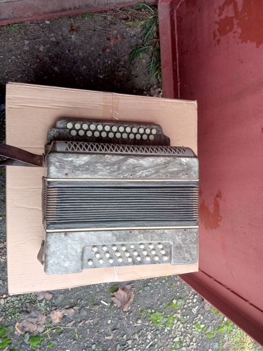 Гармонь гармошка Весна или Украина