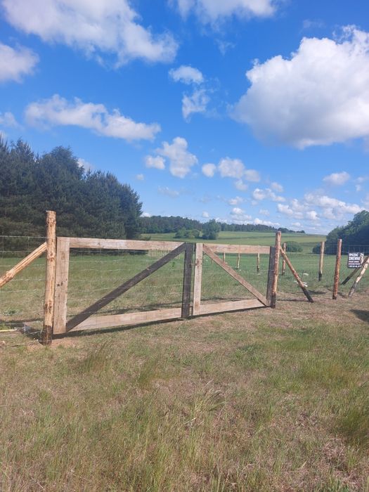 Ogrodzenie Lesne Tymczasowe Budowlane