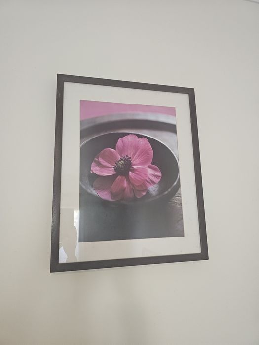 Picture Set64751903079809120