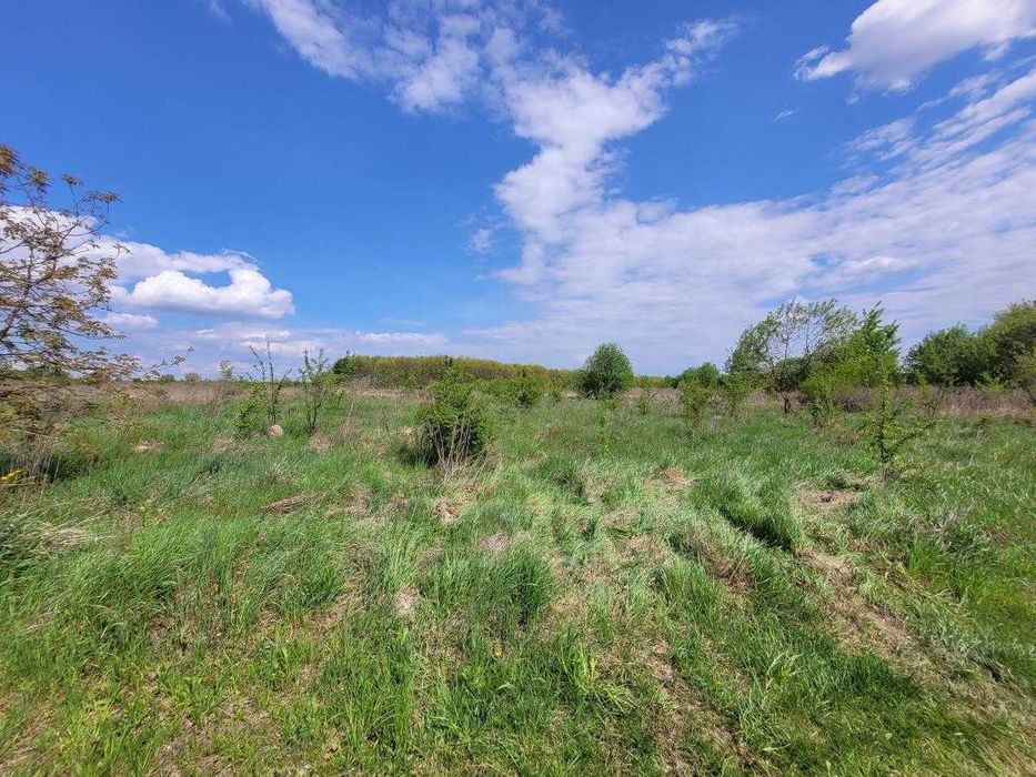 Земельна ділянка під будівництво в Колодіїівці.