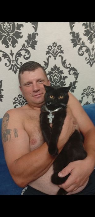 Кот ищет кошечку