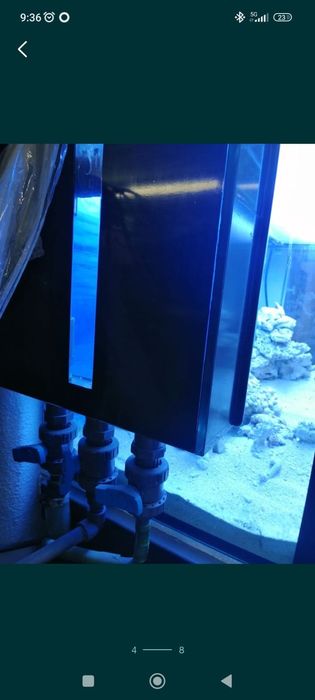 Aquário  300 litros - água salgada