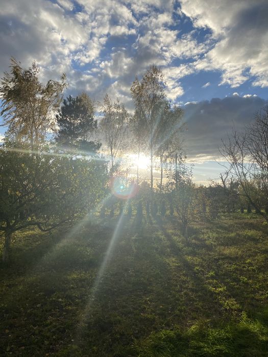 Продам будинок в с. Жидичин