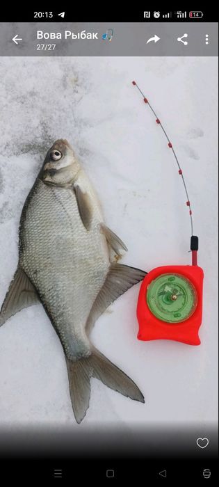 Вудка ,, ГІРЛЯНДА,,в зборі