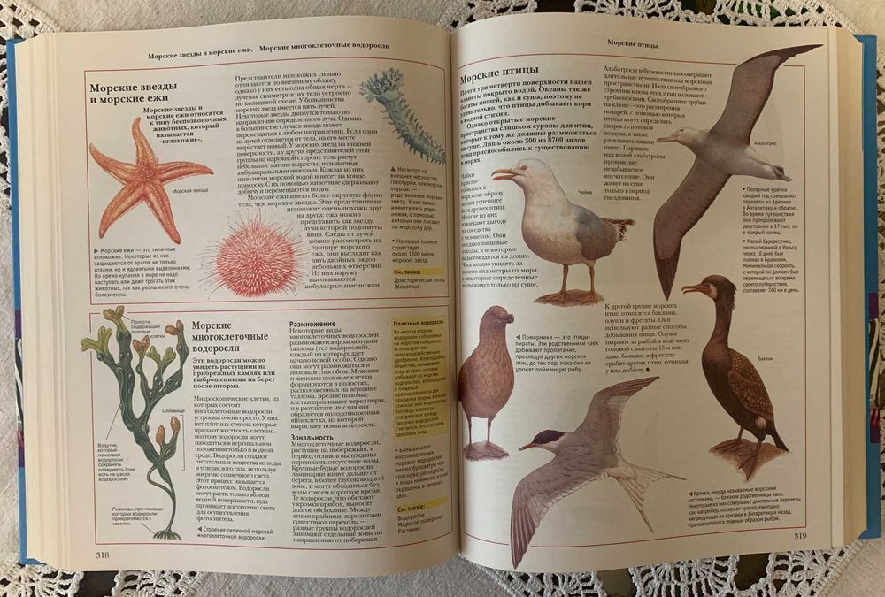 Продам книгу "Oxford. Большая Энциклопедия школьника", Росмэн, 2006р.