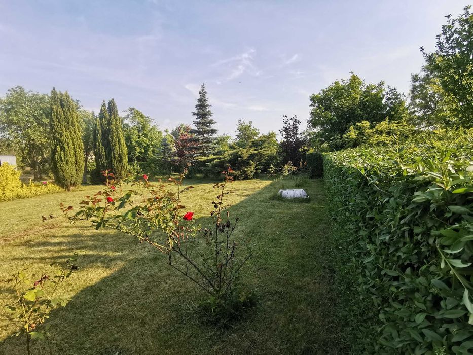 WYJĄTKOWA o pow. 900 m2 Działka rekraacyjna ROD w nowej cenie