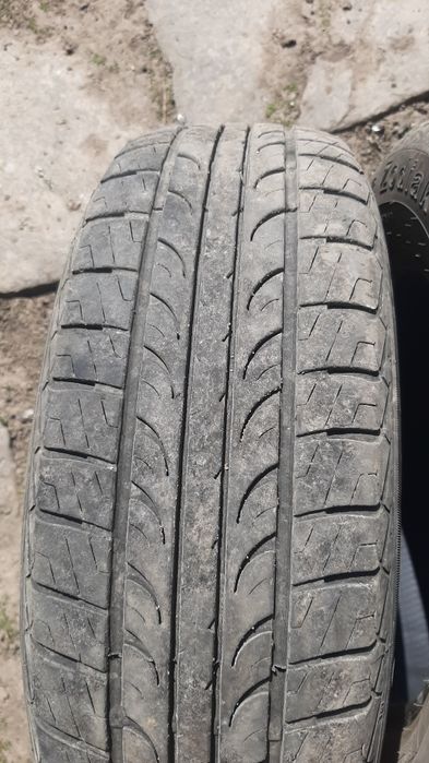 R15 195/65 Tunga Zodiak 2