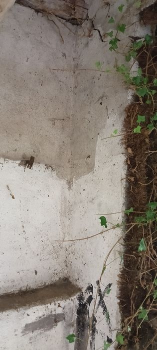 Gruz-cegła za darmo