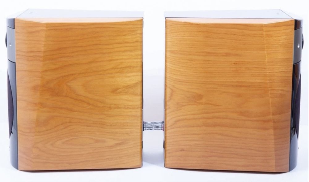 Focal 1007 BE Colunas monitoras