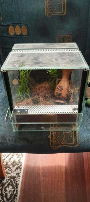 Terrarium 20x20x20