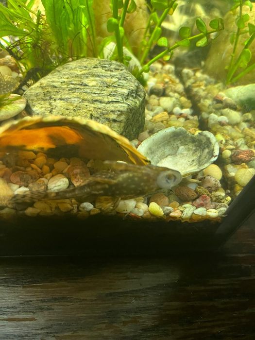 Sprzedam akwarium 112l