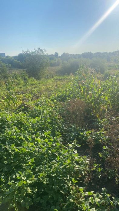 Продаж будинку в Калинівці
