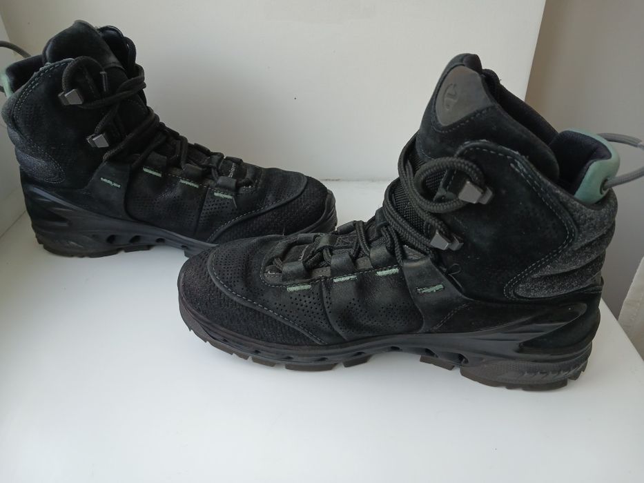 Черевики Ecco Bium Goretex