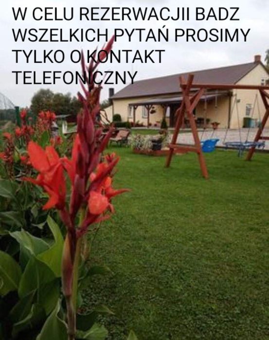 Agroturystyka Stokrotka