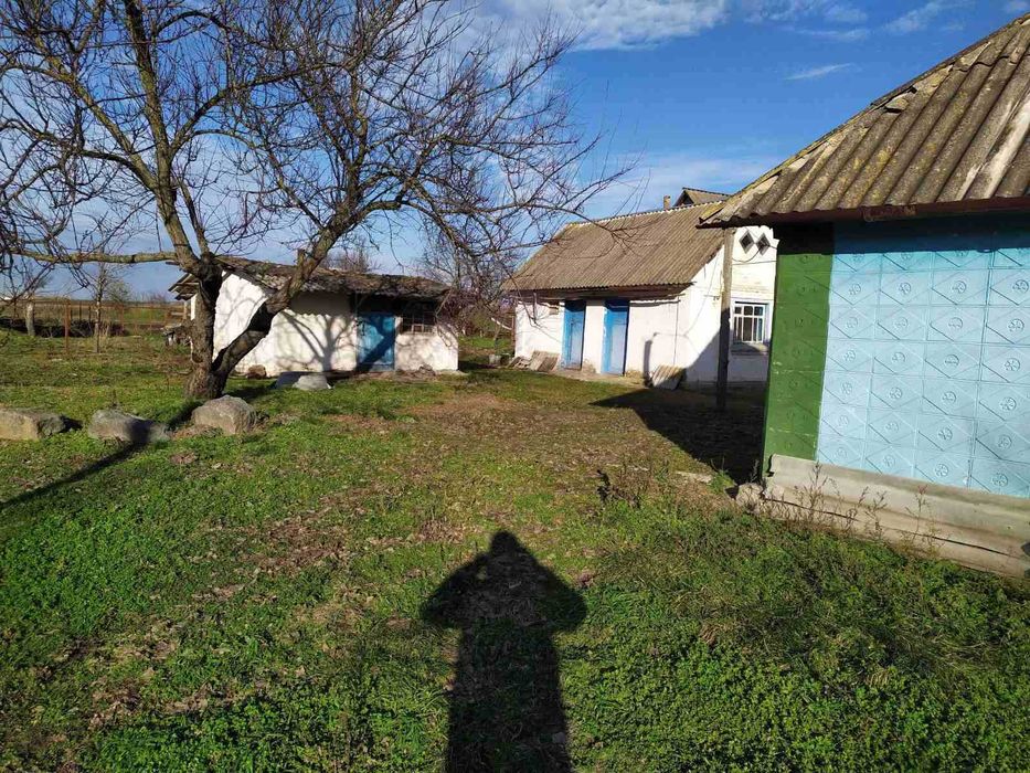 Продам будинок в селі Томилівка Білоцерківський район