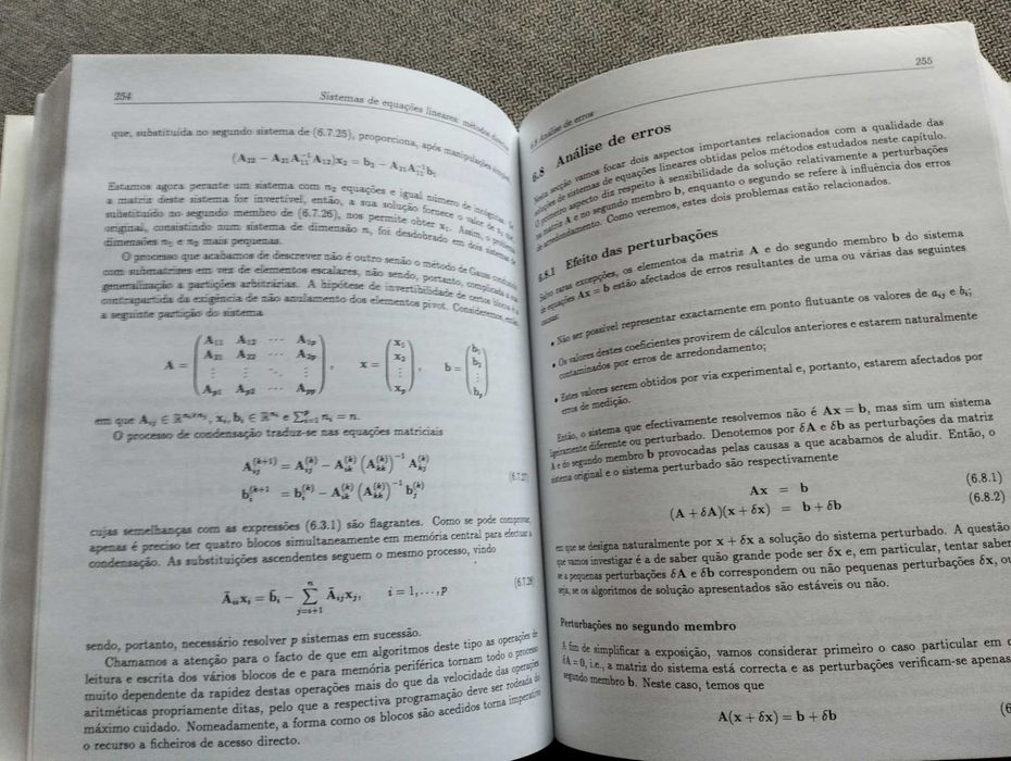 Livro "Métodos numéricos" de Heitor Pina