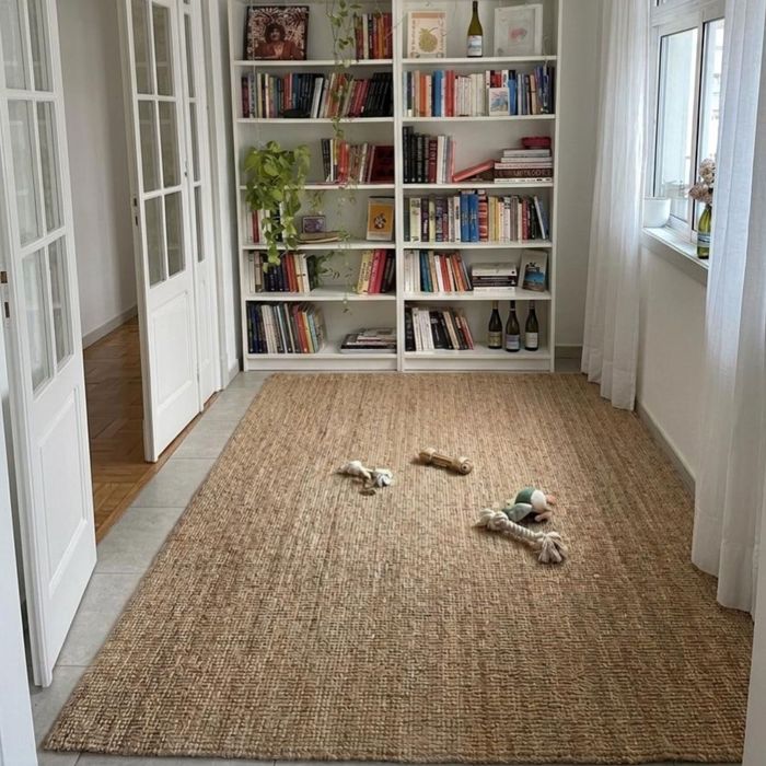 Pet Sitter, Creche Individual Lisboa | Pet Care & Day Care