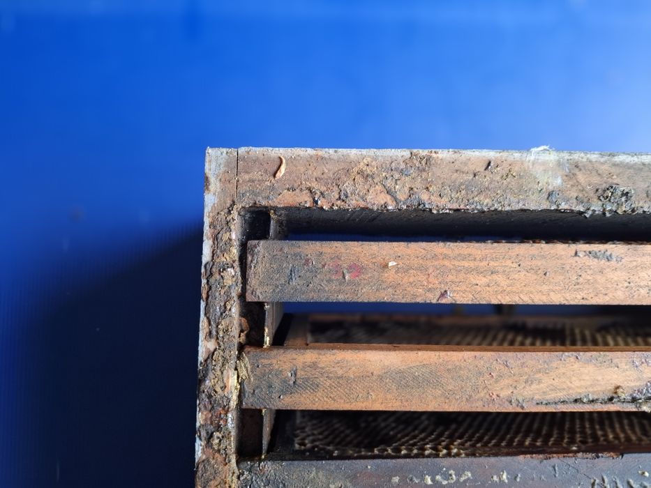 Meias alças abelhas