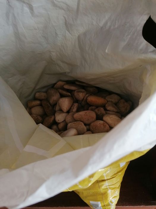 Pedras para jardim bejes (7,5 kg)