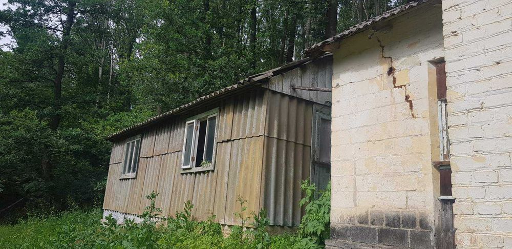 Продам будинок + парк 2 Га в Старому Мерчику | варіант для себе та бізнесу