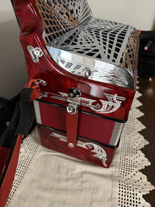 Concertina Semi nova