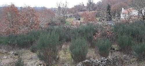 Terreno para construção, vista panorâmica, turismo.  Alhais Viseu