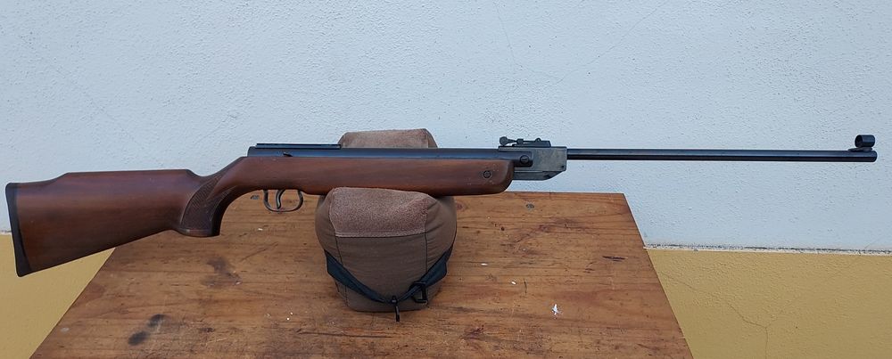 Carabina pressão de coleção BSF70