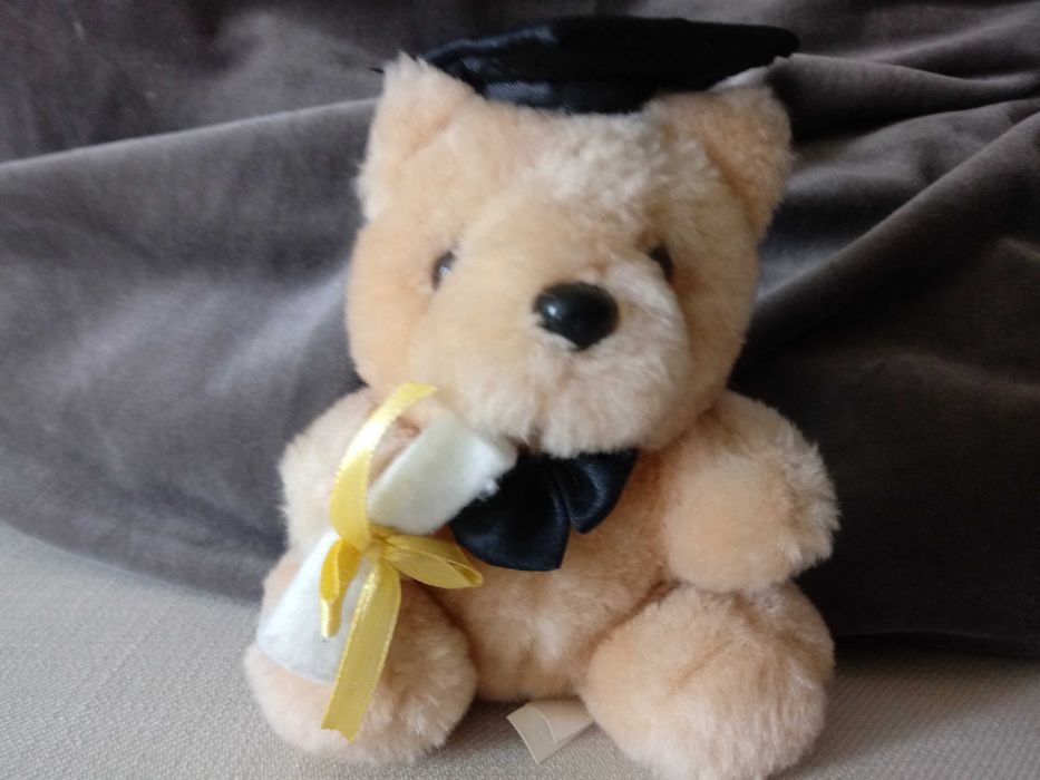 Maskotka - Miś absolwent