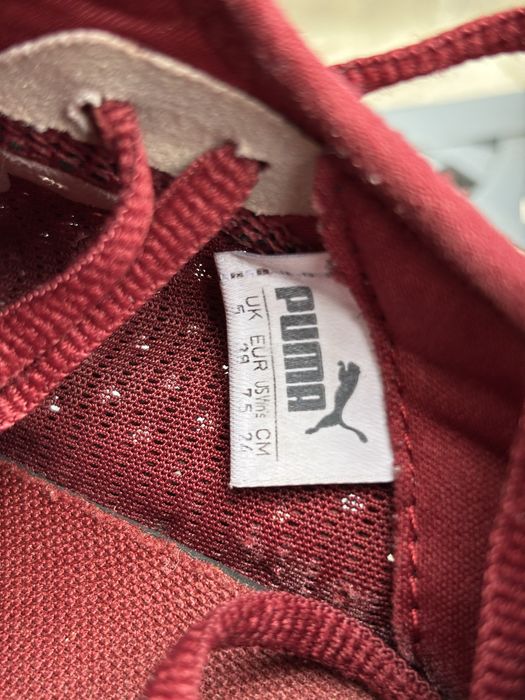 Жіночі кросівки Puma Ignite Burgundy оригінал / 38 р.