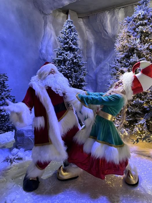 Санта Клаус Ельфи Дід Мороз Снігуронька Аніматори