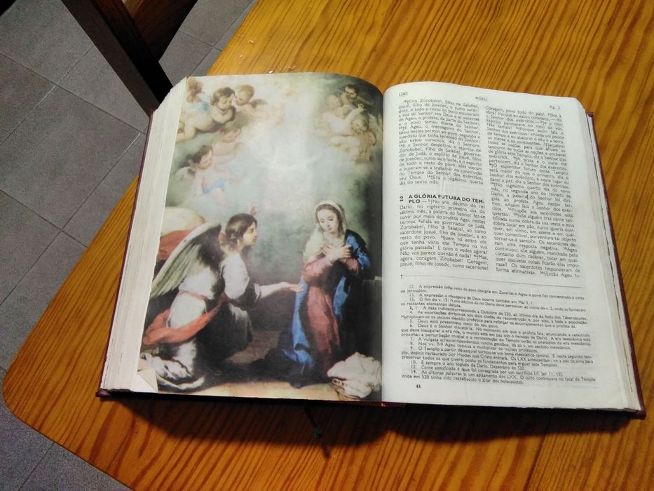 Bíblia Sagrada - 1976