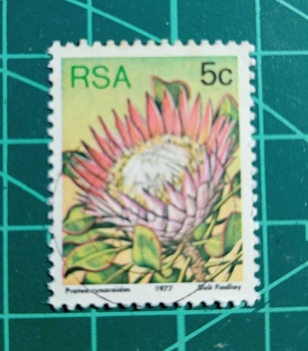 SELOS - ÁFRICA DO SUL 1 - 1977 - Flora - Plantas Protea