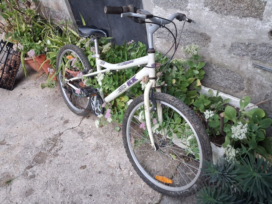 Bicicleta roda 24
