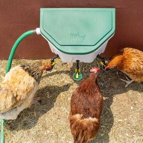 Poidło automatyczne 8 l dla drobiu z miseczkami KUBIK