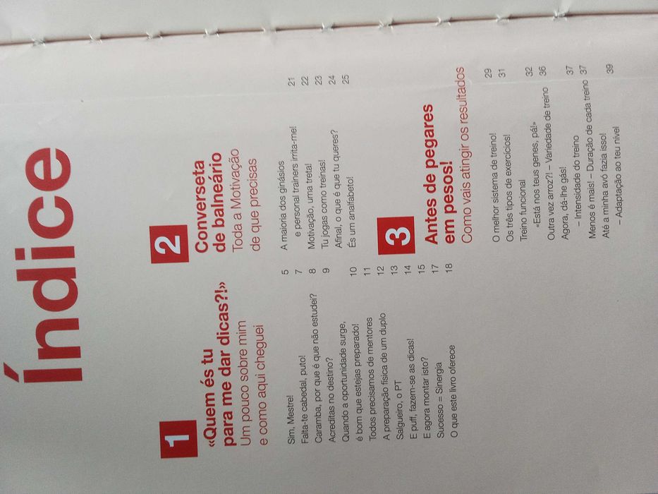 As Dicas do Salgueiro - Bruno Salgueiro