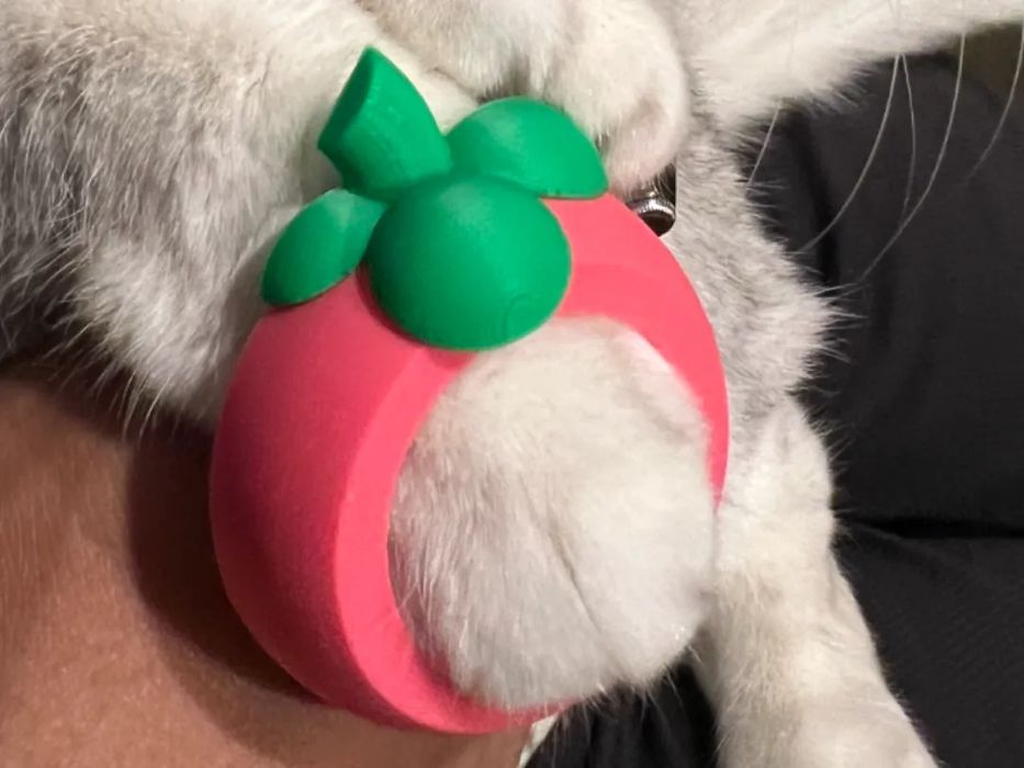 Patas de Gato para Mangostim