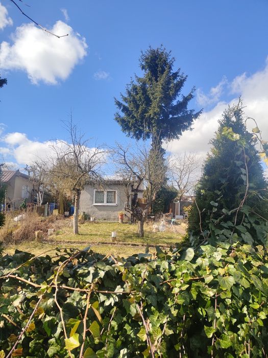 Działka ROD Santocka