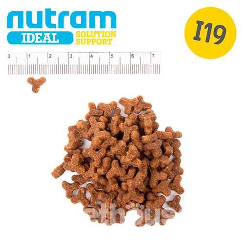 NUTRAM I19 ХОЛІСТІК корм для котів