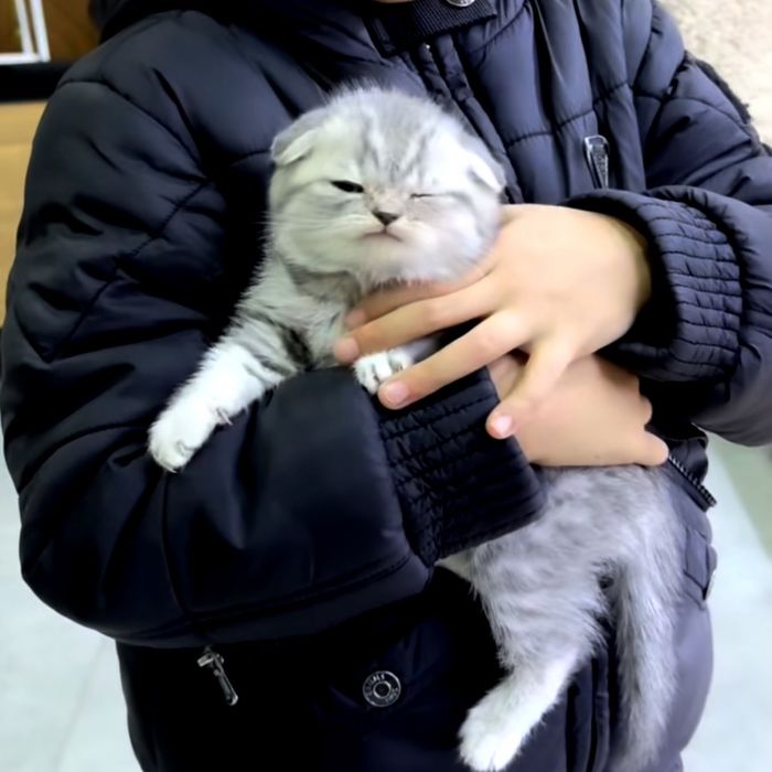 Дуже лагідні до дітей