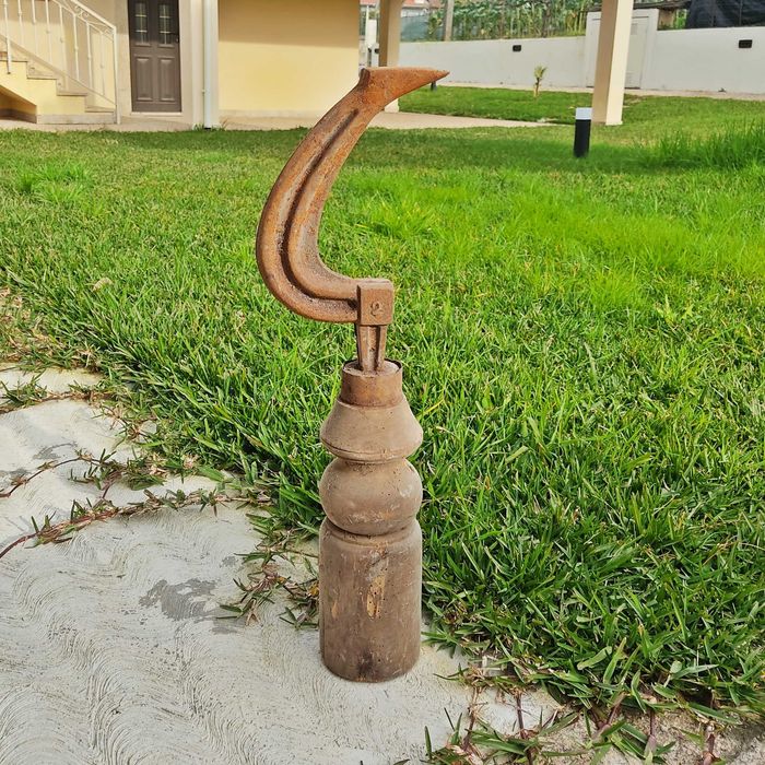 Pé de Sapateiro ou Bigorna