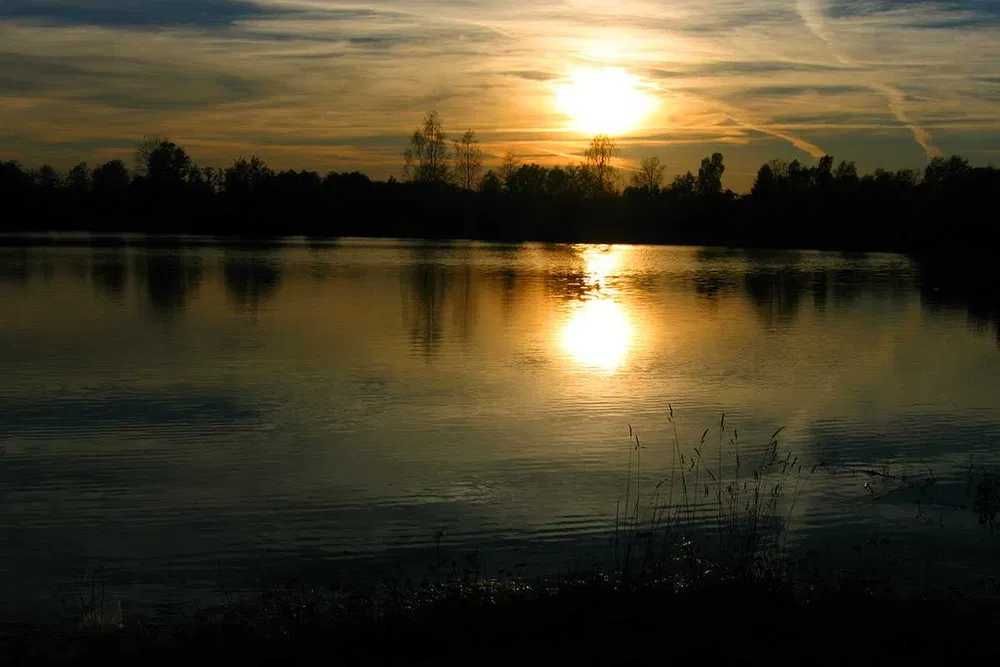 Hotelik Piaseczno 603--295--725 (Warszawa 15km) Pokój 1 osobowy