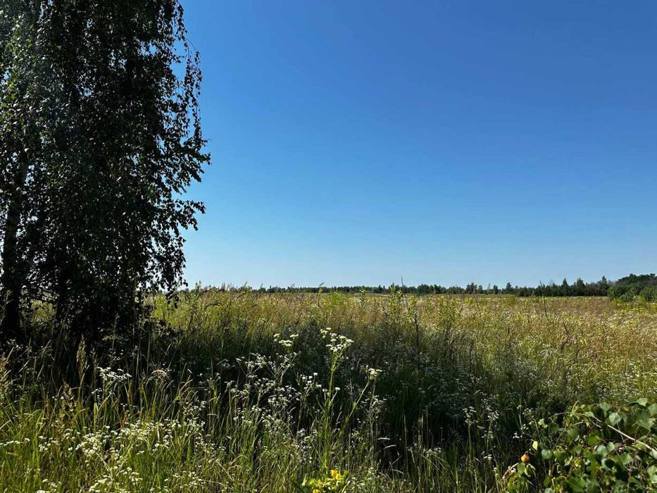 Продаж земельної ділянки 38 соток - ОСГ. 50 метрів від траси. ID:678