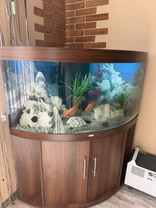Акваріум з тумбочкою Juwel  350 л