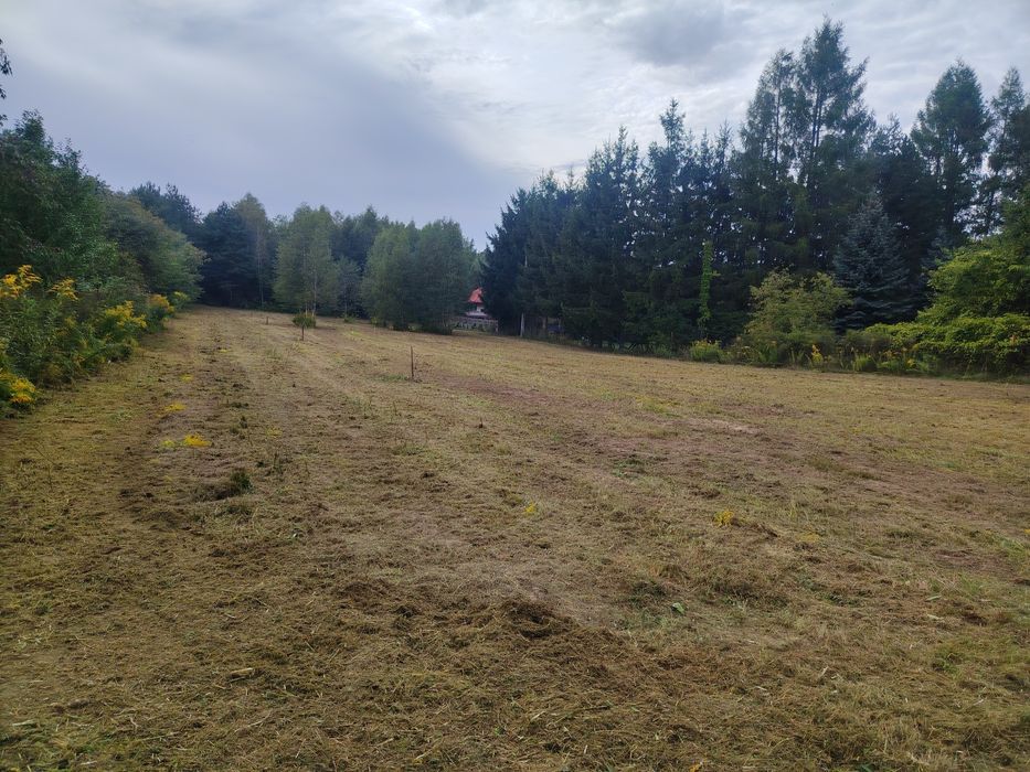 500 M2   Rosanów 80.000 zł